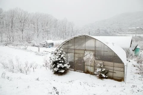 Snow covered greenhouse and countryside village at winter Stock Photos