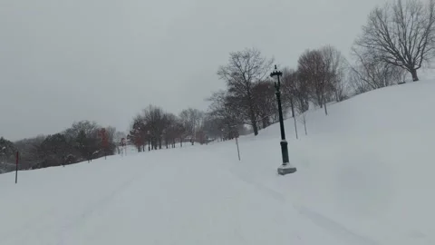 Snow Covered Ground and Trees in Winter Park Stock Footage 323423778