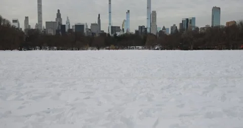 Snow-covered Ground in Central Park, New York City Stock Footage 330973681