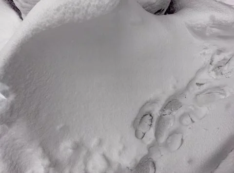 Snow-covered ground Stock Photos