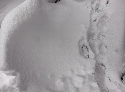 Snow-covered ground Stock Photos