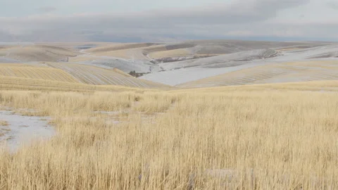 Snow Covered Hay Fields in Dufur Oregon - Shallow DOF Stock Footage 146253209