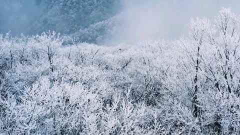 Snow Covered High Mountain Forest 4K Aerial Vídeos de archivo 341864710