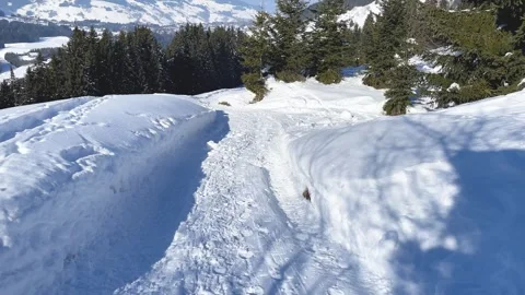 A snow-covered hiking trail winds through a winter landscape in the French Alps Stock Footage 346681800