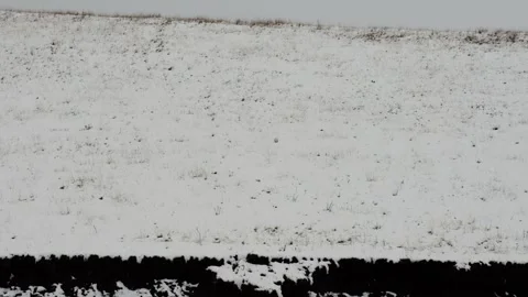 Snow-covered hill in winter transforms into a grassy landscape in spring Stock Footage 276373986