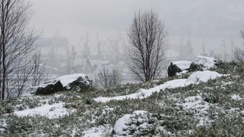 Snow-covered hillside on the background of the gulf and port. Video stock 143215187