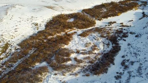 Snow-covered hilly fields v2 Stock Photos