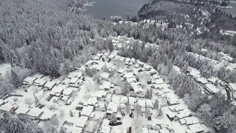 Snow covered homes and trees in quiet suburban neighborhood, winter wonderland Stock-Footage 230193450