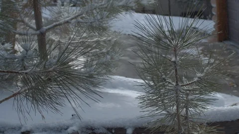 A snow covered house in winter. Through snowy woods. Stock Footage 120295203