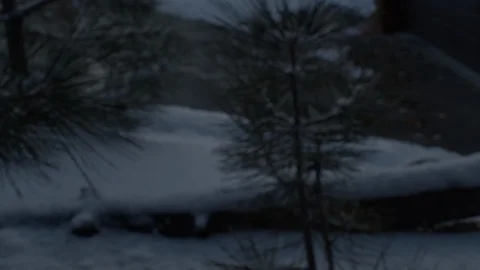 A snow covered house in winter. Through snowy woods. Stock Footage 120306785