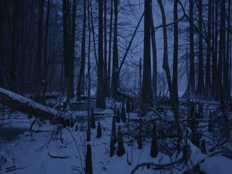 Snow Covered Lake Stock Footage 83632238