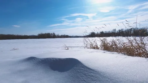 Snow-covered land Stock Footage 149564887