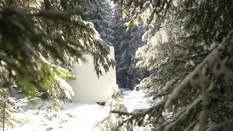 Snow-covered landscape with cabin surrounded by evergreen trees during winter Stock Footage 293232109