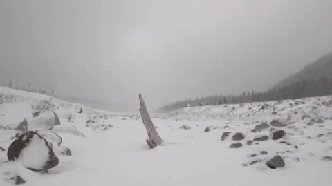 Snow covered landscape during strong snowfall Stock Footage 83866356