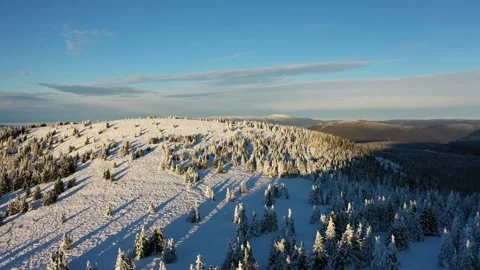 Snow-covered landscape Stock Footage 229500572