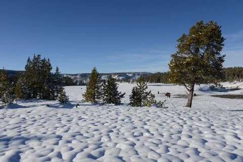 Snow-covered landscape Stock Photos