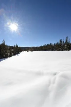 Snow-covered landscape Stock Photos