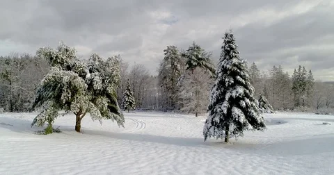 Snow Covered Landscape - Slide Left Stock Footage 83488990