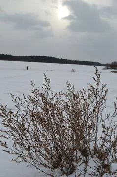 Snow-covered landscape with sparse vegetation and distant figure enjoying winter Stock Photos