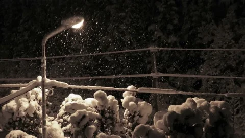 Snow-covered lantern, close up Stock Footage 165334390