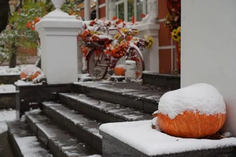 Snow-covered large pumpkins on the steps at the entrance to the house against Stock Photos
