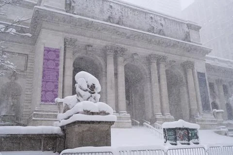 Snow covered library facade during heavy blizzard Stock Photos