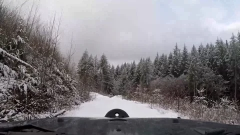 Snow covered logging road trail Stock Footage 172564905