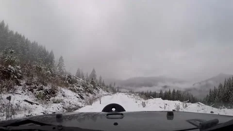 Snow covered logging road trail near end Stock Footage 172564912