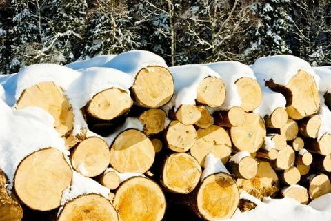 Snow covered logs Stock Photos