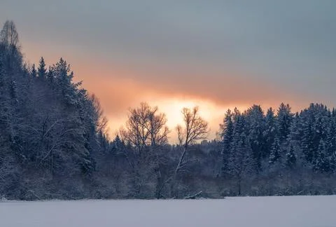 Snow-covered meadows and forest in the valley of the Stone Hill park on a fro Stock Photos