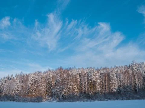 Snow-covered meadows and forest in the valley of the Stone Hill park on a fro Stock Photos