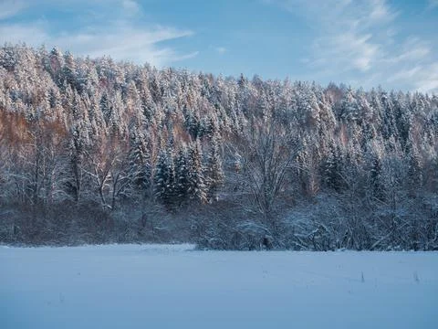 Snow-covered meadows and forest in the valley of the Stone Hill park on a fro Stock Photos