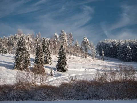 Snow-covered meadows and forest at the hill in the valley of the Stone Hill p Stock Photos