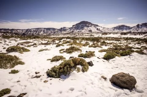 Snow covered mount teide Stock Photos