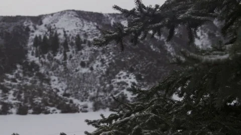 Snow covered mountain and branches during winter Stock Footage 84505961