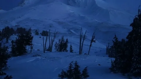 Snow covered mountain and trees during winter Stock Footage 83866824