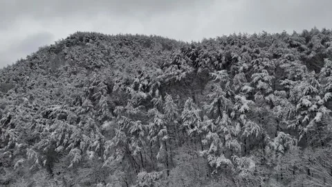 Snow Covered Mountain Forest Drone View - Part 2 Видео 342434059