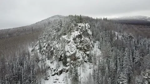 Snow-covered mountain forest Stock Footage 305186130