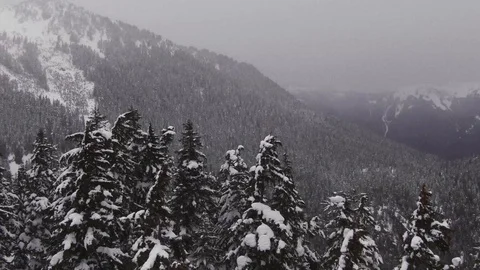 Snow covered Mountain Forest - North Cascades of Washington State Stock-Footage 102929924