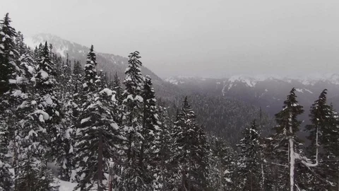 Snow covered Mountain Forest - North Cascades of Washington State Stock-Footage 102930232