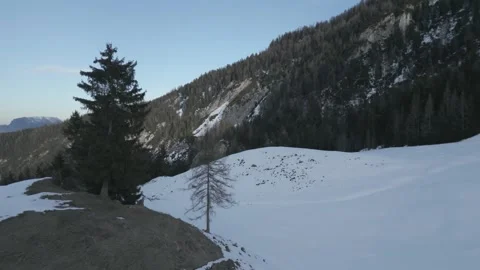 Snow-Covered Mountain Forest at Sunset in D-Cinelike for Post-Processing Stock Footage 301603879