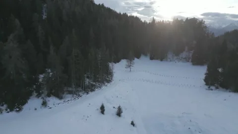Snow-Covered Mountain Forest at Sunset in D-Cinelike for Post-Processing Stock Footage 301603889