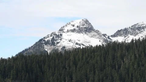 Snow-covered mountain peak above forest Stock Footage 270793382