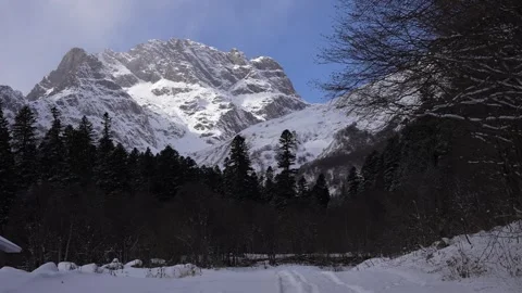Snow-covered mountain peak with a forested base in winter Stock Footage 310230467