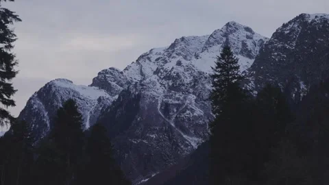 Snow-covered mountain peak framed by tall trees in winter Stock Footage 310230589