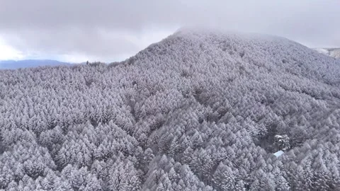 Snow Covered Mountain Peak, Winter Forest, Nature│Aerial Orbit Stock-Footage 329063199
