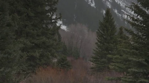 Snow covered mountain with pine tree and flowing water during winter Stock Footage 84505659