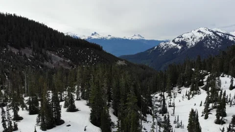 Snow Covered Mountain Pine Trees Cloudy Day Stock Footage