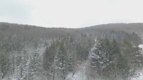 SNOW COVERED MOUNTAIN PINE TREES PENNSYLVANIA AERIAL Video stock 146903630