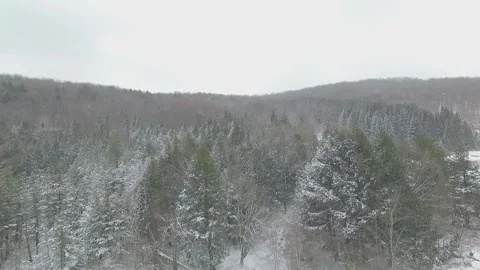 SNOW COVERED MOUNTAIN PINE TREES PENNSYLVANIA AERIAL slow motion Video stock 146904833